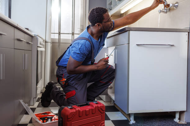 Best Local Plumber Services  in Swoyersville, PA